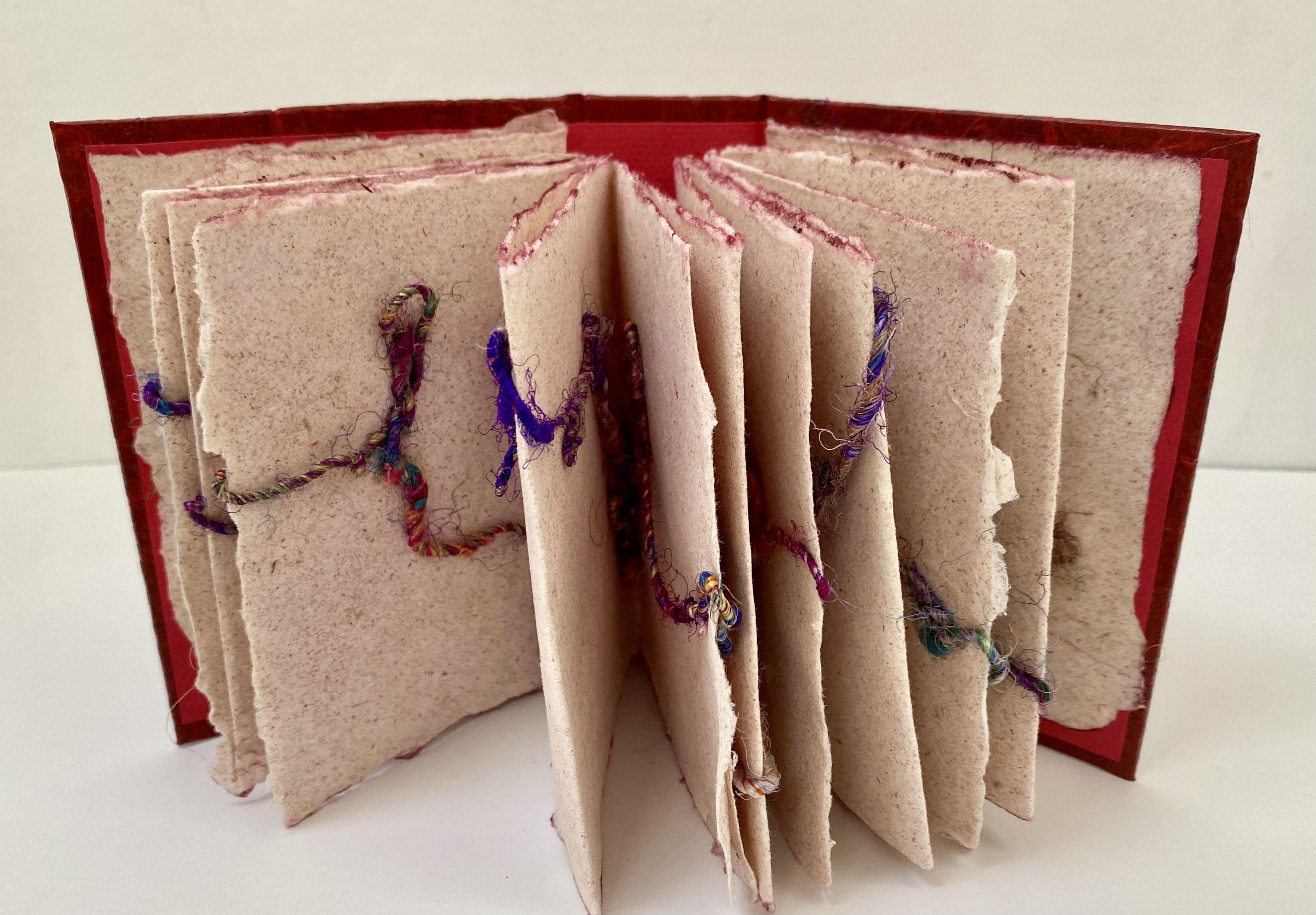 Shelter-in-Place detail