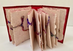 Shelter-in-Place detail